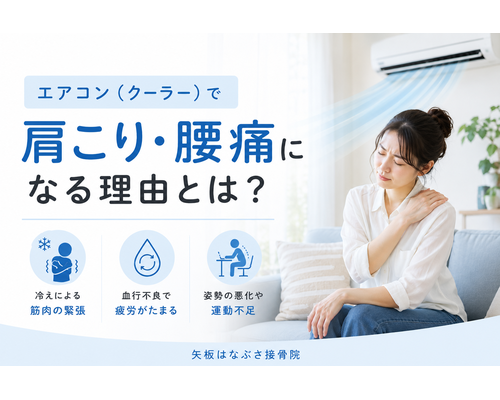 2313364B-53AB-4822-A276-F828990AFEB5